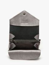 Coin Purse Leather Etrier Silver etincelle irisee EETI5018-vue-porte