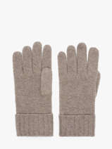 Gloves Cashmere Vercors Etrier Brown vercors EVER429U